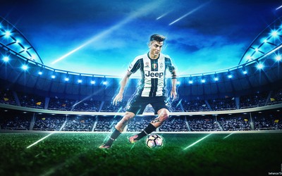 维基体育快讯-从草根到巨星的故事