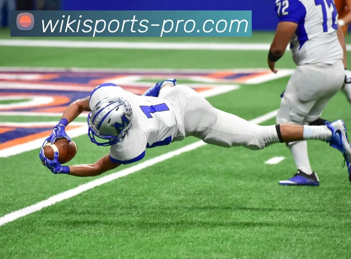 维基体育官网全站App